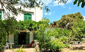 Seafront Apartments Garden House